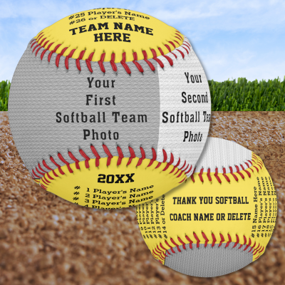 Softball Ball for Coach